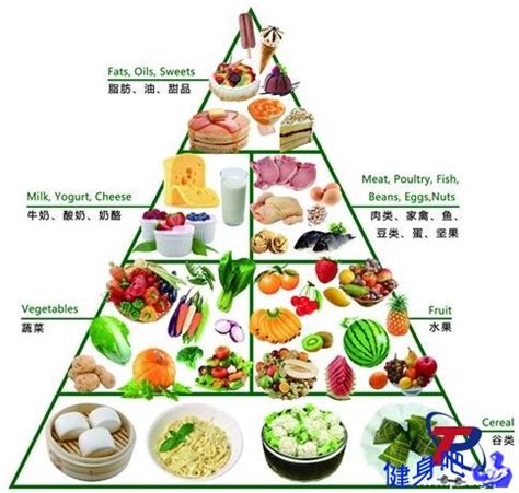 健康营养食谱海报